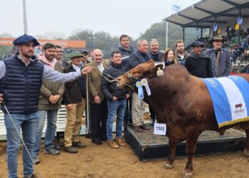 La agroindustria de Córdoba y la Región Centro, presente en la Rural de Palermo