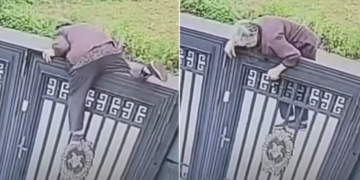 Una mujer de 92 años se cansó del geriátrico, trepó una reja de dos metros de altura y se escapó