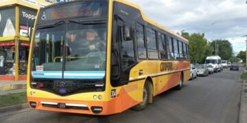 Coniferal sumará otras dos líneas este viernes y completa el corredor 4