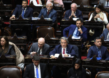 La división en el PRO expuso las tensiones con el Gobierno en la votación del DNU