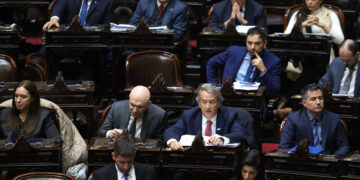 La división en el PRO expuso las tensiones con el Gobierno en la votación del DNU