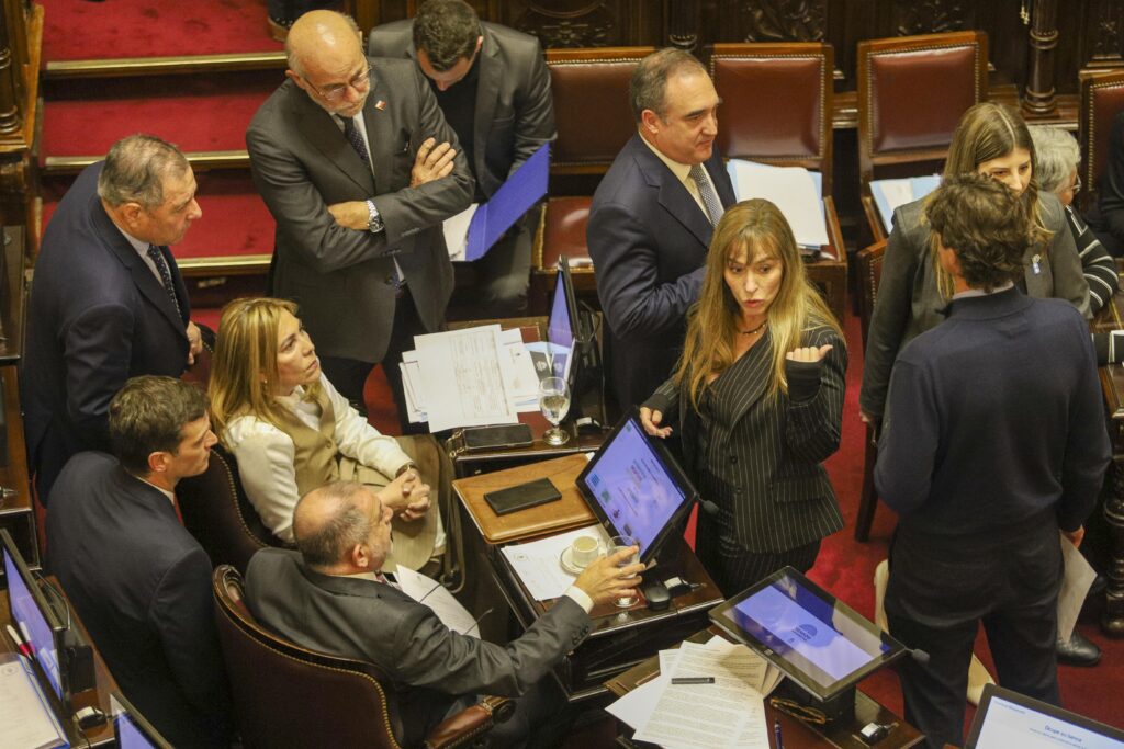 El Senado aprobó debatir en la próxima sesión el aumento del presupuesto universitario