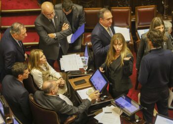 El Senado aprobó debatir en la próxima sesión el aumento del presupuesto universitario