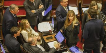 El Senado aprobó debatir en la próxima sesión el aumento del presupuesto universitario
