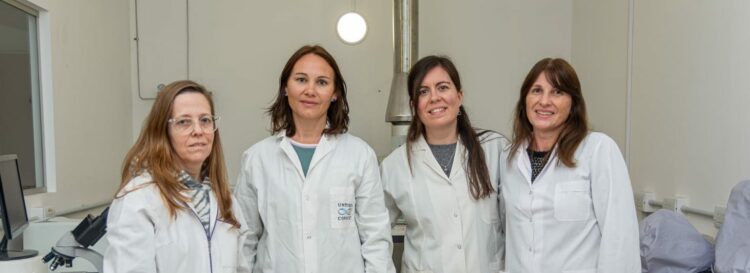 Científicas de la UNC patentan nanoplacas de oro que previenen infecciones en productos médicos