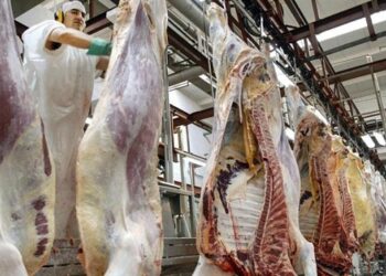 El Gobierno oficializó la eliminación de las retenciones a las exportaciones de carnes y lácteos