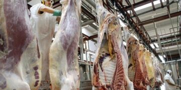 El Gobierno oficializó la eliminación de las retenciones a las exportaciones de carnes y lácteos