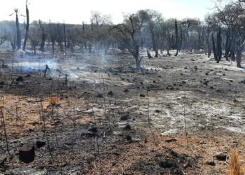 Bomberos lograron contener los cuatro incendios en el norte de la provincia