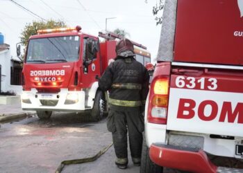 Bomberos rescataron a cinco cachorros atrapados en un incendio