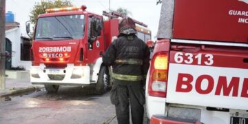 Bomberos rescataron a cinco cachorros atrapados en un incendio