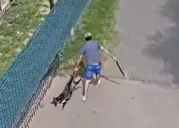 El falso veterinario de Villa Allende rompió el silencio: «Estoy roto por dentro, me siento destrozado»