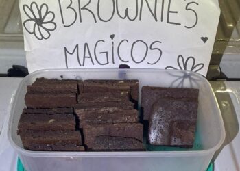 Vendía «brownies mágicos» que contenían marihuana y quedó detenido