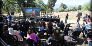 La Provincia presentó «El Camino del Olivo»: recorridos guiados y degustaciones