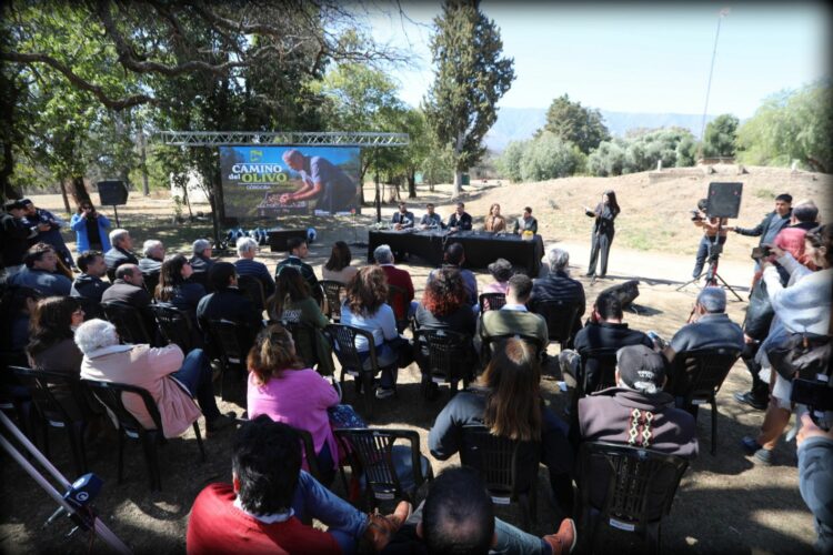 La Provincia presentó "El Camino del Olivo": recorridos guiados y degustaciones