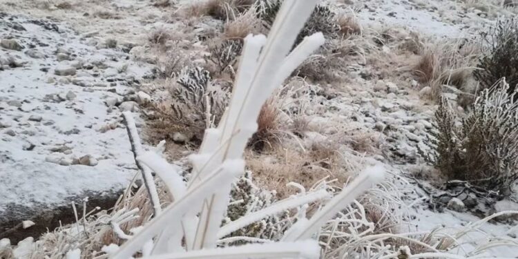 La nieve transformó las Altas Cumbres en un paisaje invernal único