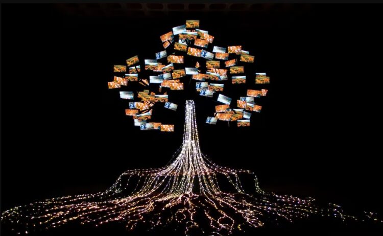 Se inaugura "El árbol de la vida" en el Buen Pastor con impactantes luces y pantallas led