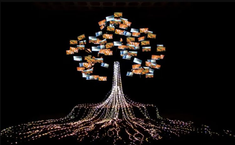 Se inaugura "El árbol de la vida" en el Buen Pastor con impactantes luces y pantallas led