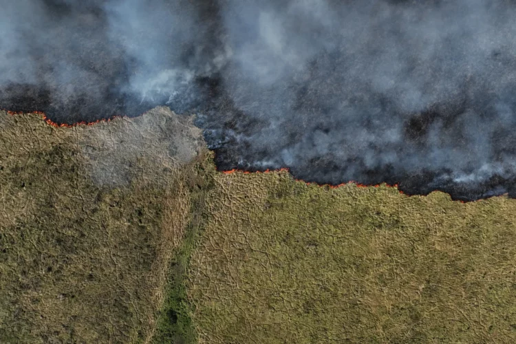 Arde el humedal más grande del mundo