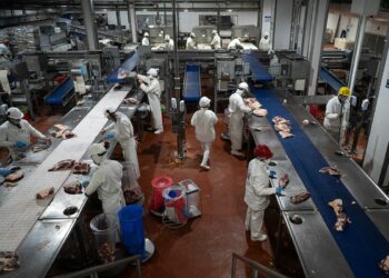 El consumo de carne es el más bajo de los últimos 26 años