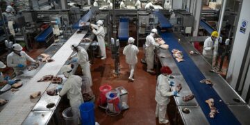 El consumo de carne es el más bajo de los últimos 26 años