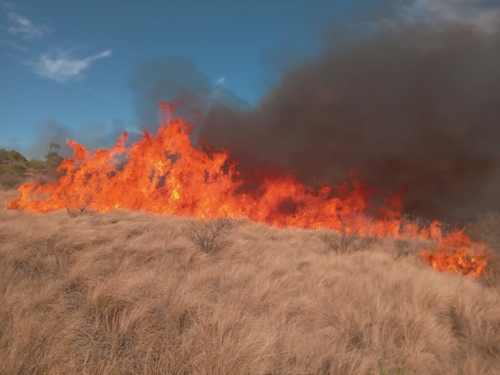 Bomberos trabajan para apagar un importante incendio en Estancia La Paz