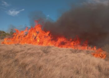 Bomberos trabajan para apagar un importante incendio en Estancia La Paz