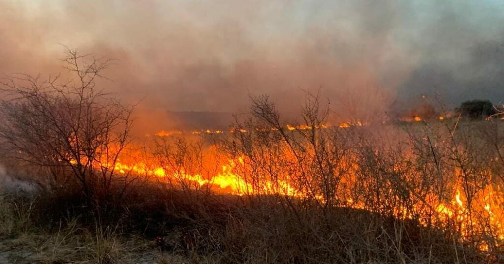 Le dieron prisión preventiva al joven imputado por provocar un incendio en La Calera