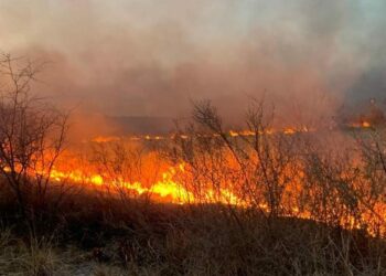 Se logró contener el incendio en La Calera y permanece en guardia de cenizas