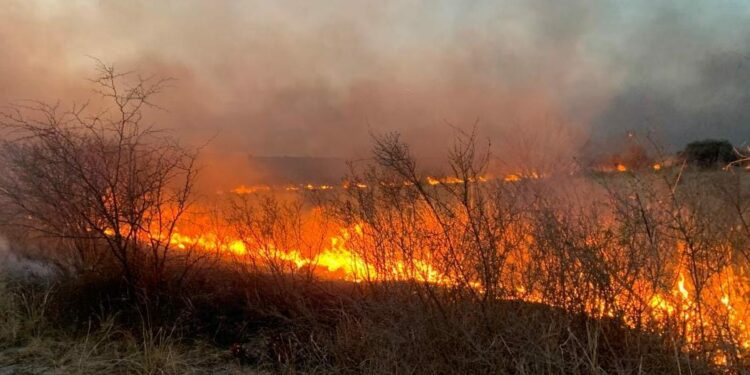 Se logró contener el incendio en La Calera y permanece en guardia de cenizas