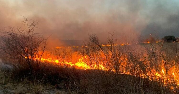Le dieron prisión preventiva al joven imputado por provocar un incendio en La Calera