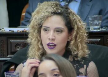 En medio de la tensión con el oficialismo, Lourdes Arrieta publicó el proyecto para dejar en libertad a genocidas