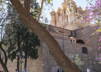 La Municipalidad lanza un nuevo curso de Marketing Digital