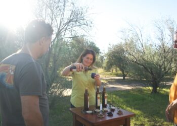 Un camino para explorar los encantadores olivares de las sierras de Córdoba
