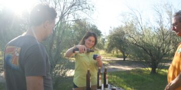 Un camino para explorar los encantadores olivares de las sierras de Córdoba