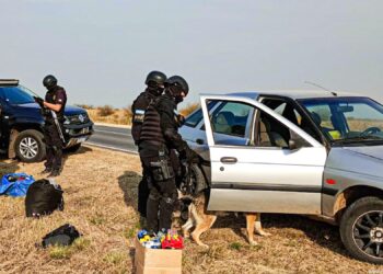 Los perros detectores de drogas hallaron varias dosis de marihuana en un auto que llegaba a Córdoba desde Santa Fe