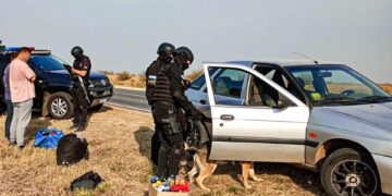Los perros detectores de drogas hallaron varias dosis de marihuana en un auto que llegaba a Córdoba desde Santa Fe