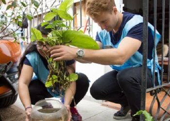 Activan el «Plan Integral de Combate Contra el Dengue» y comienza el descacharreo en distintos barrios