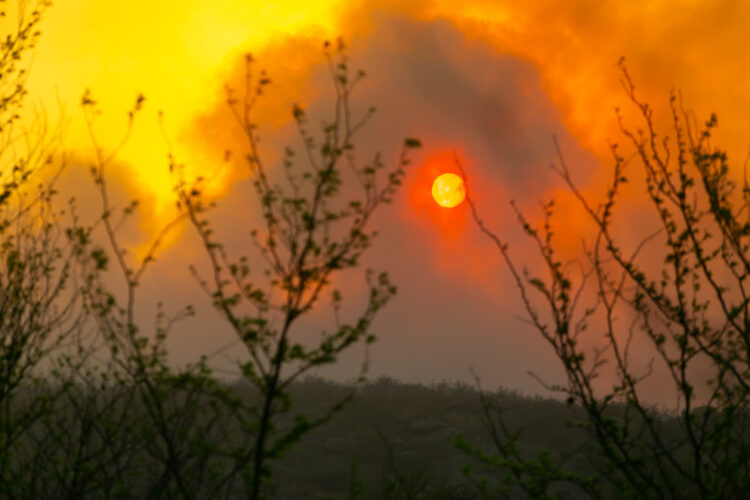 Con menor actividad, siguen activos los incendios de Chancaní y San Marcos Sierras