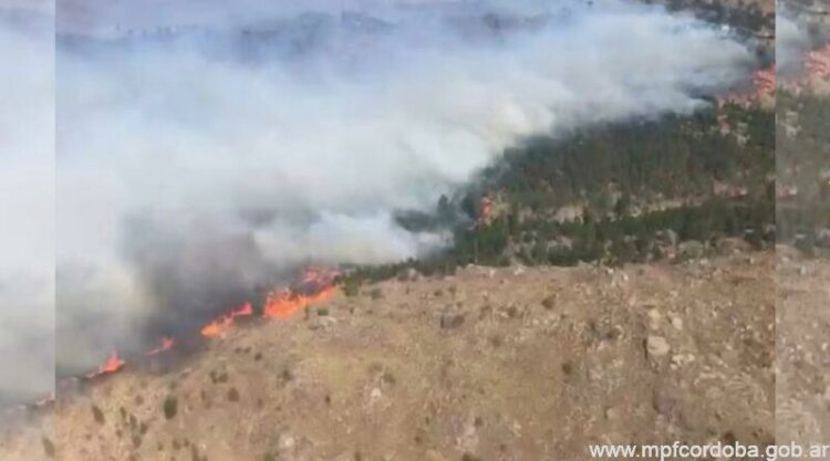 Detuvieron a un hombre por un incendio de pastizales en el acceso norte de Río Tercero