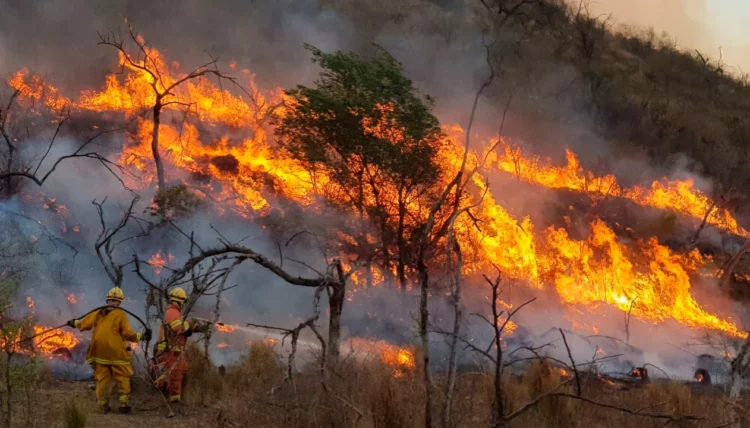 Sin el apoyo de LLA, el Senado aprobó la emergencia ambiental por 180 días para Córdoba