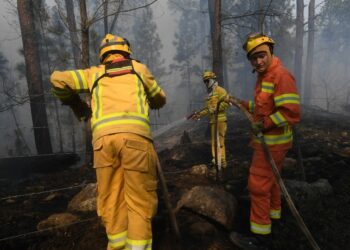 El oficialismo pedirá que en la sesión de mañana se vote la declaración de emergencia en Córdoba