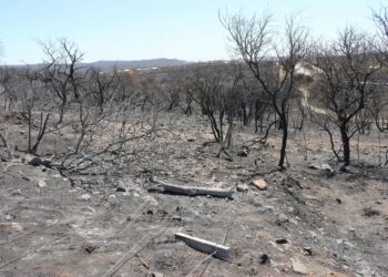 La Provincia declaró el estado de Desastre Agropecuario tras los incendios