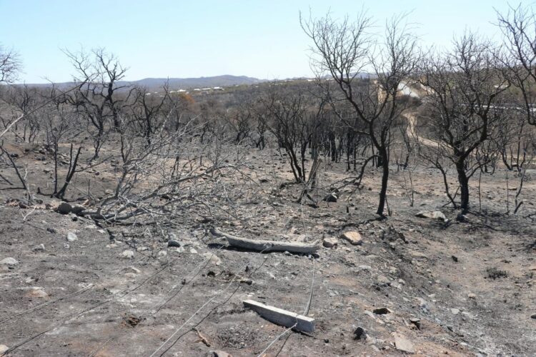 La Provincia declaró el estado de Desastre Agropecuario tras los incendios