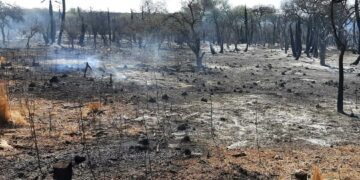 Fue contenido el foco de incendio en Cosquín y levantaron el corte de la ruta 38