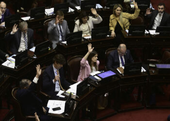 El Senado volteó el DNU que le otorga 100.000 millones a la Side y aprobó el presupuesto universitario