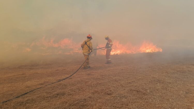 Incendio en La Calera avanza con un frente de 500 metros