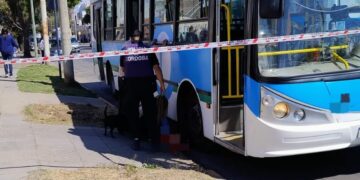 Un colectivo atropelló a una jubilada que descendía y debieron amputarle un brazo