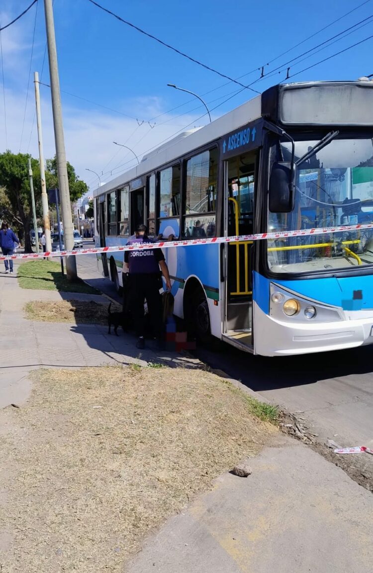 Un colectivo atropelló a una jubilada que descendía y debieron amputarle un brazo