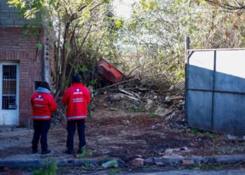Cómo denunciar baldíos que puedan ser focos infecciosos y criaderos de dengue