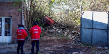 Cómo denunciar baldíos que puedan ser focos infecciosos y criaderos de dengue